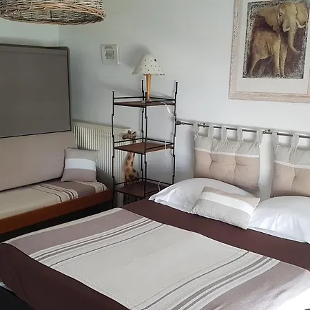 酒店 Cordouan 滨海圣帕莱