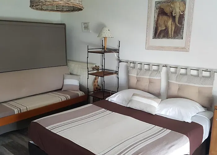 酒店 Cordouan 滨海圣帕莱